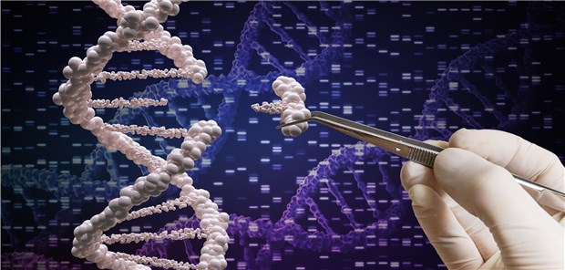 Erster Bericht zu Anwendung von CRISPR bei Patienten Mit der Genschere CRISPR lassen sich präzise bestimmte DNA-Bausteine umschreiben.