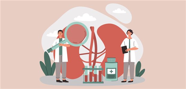 Mit immer mehr Optionen bei der Pharmakotherapie stellt sich auch die Frage, welches Mittel welche Effekte auf einzelne Organe hat – etwa auf die Niere. Was kommt also aufs Rezept?