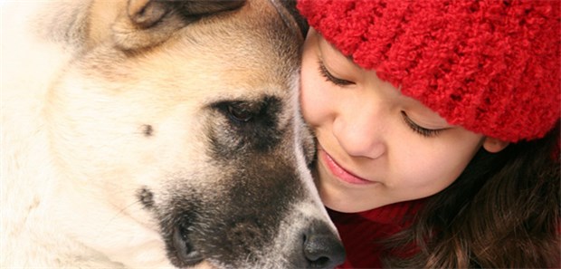 Hund im Haus - weniger Asthma Mit manchen Hunden ist gut kuscheln - mit manchen nicht.