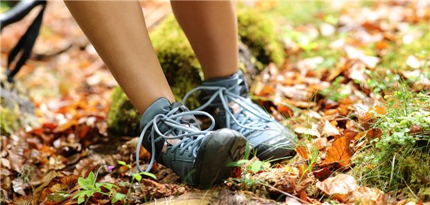 Mit welchen Rehabilitationsmaßnahmen kann eine Sprunggelenksfraktur am besten ausheilen? Dieser Frage widmete sich ein Cochrane-Team.