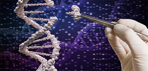 CRISPR/Cas-Methode – Zwischen Zauberwerk und Hexenkunst? Mittels CRISPR können Forscher Gene gezielt verändern. Das bringt Diskussionen mit sich.