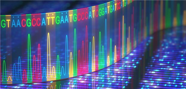 Mittels Gensequenzierungen lassen sich Mutationen identifizieren. Bei einer Panel-Untersuchung werden mehrere Gene gleichzeitig untersucht.