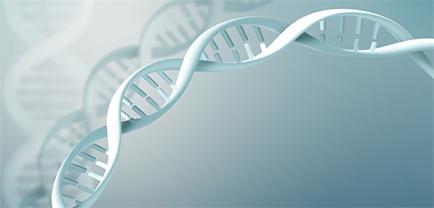 Modell der DNS: In den Genen steckt anscheinend der Schlüssel, ob bestimmte Rheuma-Therapien funktionieren.