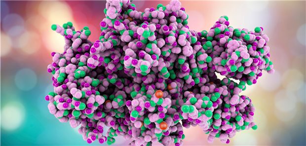Modell des für die Blutgerinnung wichtigen Faktor VIII.