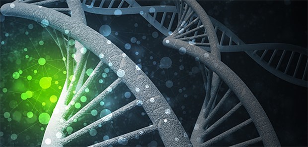 Neurogenetischen Therapien gehört die Zukunft Modell einer DNA: Neurogenetische Therapien nähren Hoffnungen bei Forschern.
