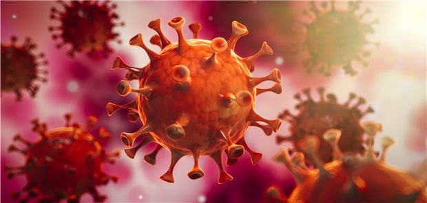 Der Kampf um die Corona-Impfstoffe wird heftiger Modell eines Coronavirus.