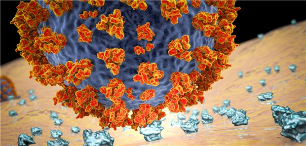 Neue Corona-Sublinie „Arcturus“ auch in Deutschland nachgewiesen Modell eines Coronavirus: Sechs Mal wurde die Omikron-Sublinie „Arcturus“ bisher in Deutschland nachgewiesen.
