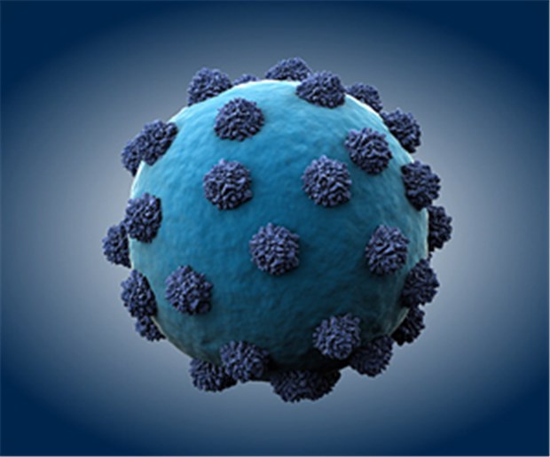 Kontroverse um Zusatznutzen von Hepatitis-C-Präparat Modell eines Hepatitis-C-Virus.