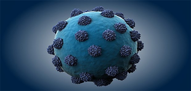 Kampagne will Hepatitis-C ausrotten Modell eines Hepatitis-C-Virus: In knapp 10 Jahren soll die Krankheit in Deutschland ausgelöscht sein.