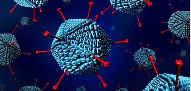 Modell von Adenoviren: Die Erreger verursachen häufig Gastroenteritiden.
