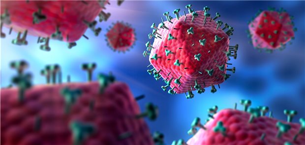 Wie es zu einer vollständigen HIV-Spontanheilung kommt Modell von HI-Viren: Laut Wissenschaftlern sorgt eine außergewöhnlich starke Immunantwort der CD8-Zellen dafür, dass vor allem diejenigen Zellen abgetötet werden, welche mit hoher Wahrscheinlichkeit aktives HI-Virus produzieren.