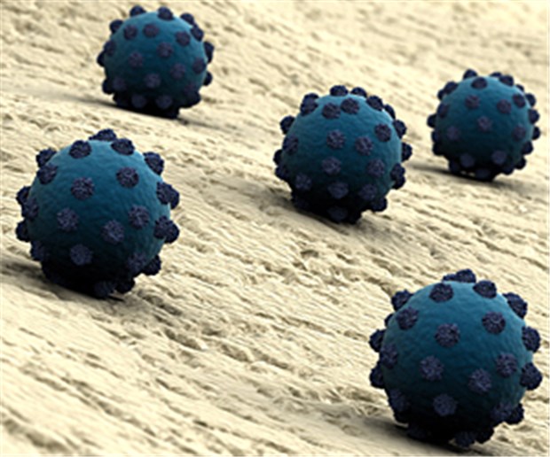 Impfstoff gegen Hepatitis C zeigt erste Erfolge Modell von Hepatitis-C-Viren: Eine Studie weckt die Hoffnung, einen Impfschutz gefunden zu haben.