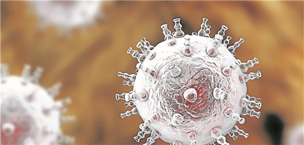 Wie Herpesviren das Immunsystem austricksen Modell von Kaposi-Sarkom-Viren, auch als HHV-8 bezeichnet. Die Viren sind in allen Kaposi-Sarkomen zu finden.