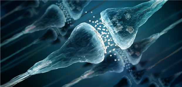 Modell von Neuronen, die elektronische Signale chemisch zwischen ihren Synapsen übertragen.