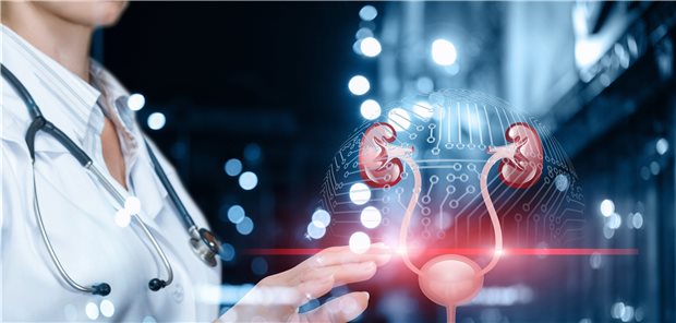 Moderne Urologie heißt: Nicht nur analog diskutieren, sondern auch digital vernetzt arbeiten, die Vorteile europäischer Kooperationen nutzen!
