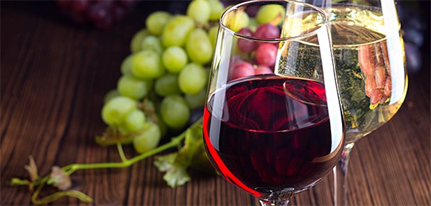 Hasenpest nach Weinlese Mögliche Gefahr im Traubenmost, aber im fertigen Wein wohl keine Bedrohung: Francisella tularensis kann Trauben kontaminieren.