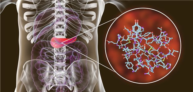 Molekül-Modell des im Pankreas gebildeten Insulins: Bei Typ-1-Diabetes werden die insulin-produzierenden Betazellen zunehmend durch Autoimmunprozesse zerstört.