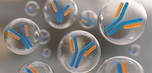Apotheker sollen Biosimilars austauschen Monoklonale Antikörper werden heute als Biologicals medizinisch genutzt – etwa bei chronisch entzündlichen Erkrankungen.