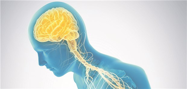 Morbus Parkinson: Der Anstieg der Erkrankungszahlen lässt sich nicht ganz auf die alternde Bevölkerung zurückführen.