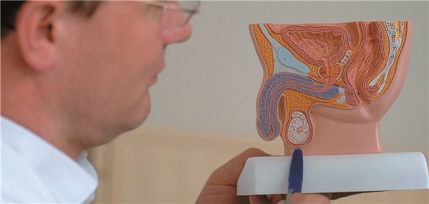 Anspruch auf Hodenimplantate nach Entfernung wegen Krebs Müssen die Hoden bei einer Krebsbehandlung vollständig entfernt werden, besteht ein Anspruch auf Implantate.