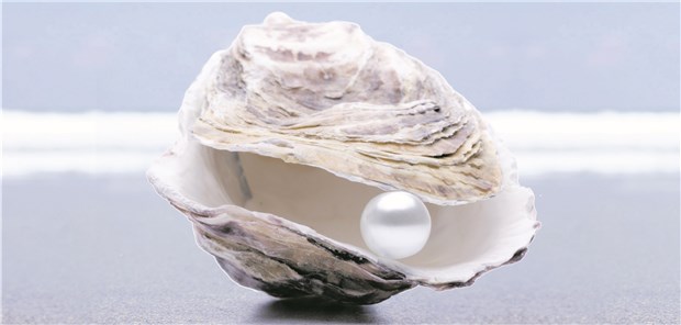 Ein Kleber fürs Herz Muschelseide sorgt dafür, dass Muscheln den Belastungen einer Brandung widerstehen können.
