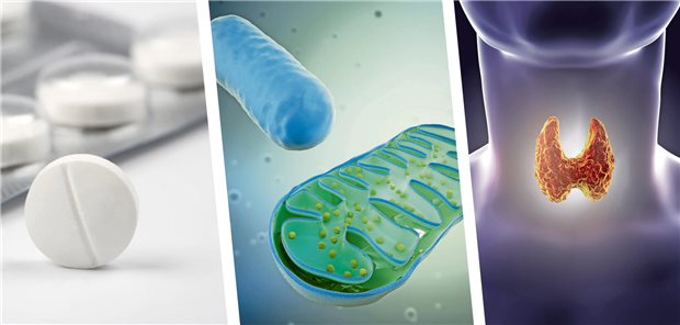 Collage aus drei Bildern. 1.) Tabletten, 2.) Mitochondrien, 3.) Schilddrüse