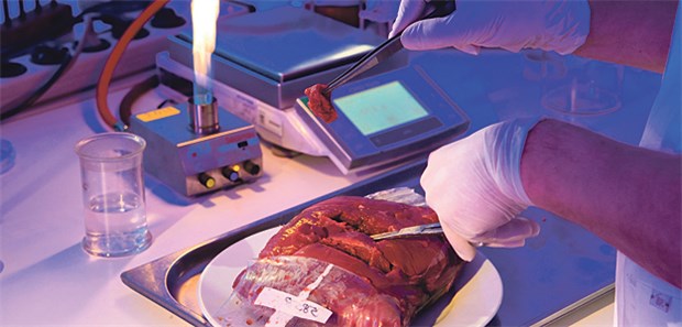 Diagnose-Anbieter profitieren von der Angst Mutmaßlich verdorbenes Fleisch wird in einem Landeslabor auf Keime untersucht.