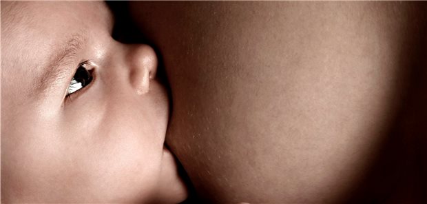 Muttermilch: Die enthaltenen Proteine stärken Darmflora und Immunsystem und können vor Darmkerkrankungen und Adipositas schützen.