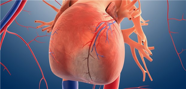 NSTEMI oder instabile Angina? Durch die hochsensitiven Troponintests ist eine falsche Klassifikation unwahrscheinlicher geworden.
