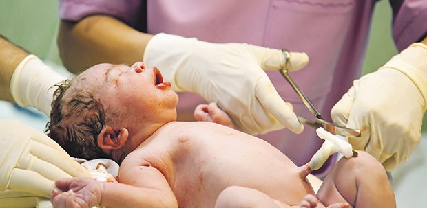 Nabelschnurblut ist eine gute Quelle für Stammzellen.