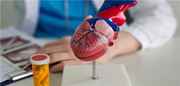 Eine Kardiologin klärt ihren Patienten über dessen Behandlungsplan nach seinem Herzinfarkt auf.