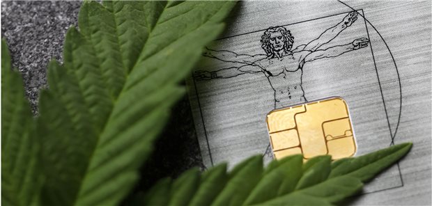 Drogen-Bilanz für NRW: Weniger Alkohol-Tote – mehr Rauschgiftopfer Nach dem Cannabis-Konsum zum Arzt: In Nordrhein-Westfalen mussten im vergangenen Jahr 45.000 Menschen in Folge des Konsums von Cannabis ärztlich behandelt werden, in 4.000 Fällen war eine stationäre Versorgung nötig (2011: 2.100 Fälle).