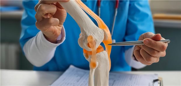 Ein Arzt erläutert anhand eines anatomischen Modells des menschlichen Kniegelenks einem Patienten die Ursachen seiner degenerativ bedingten Meniskusruptur und die Behandlungsmöglichkeiten.