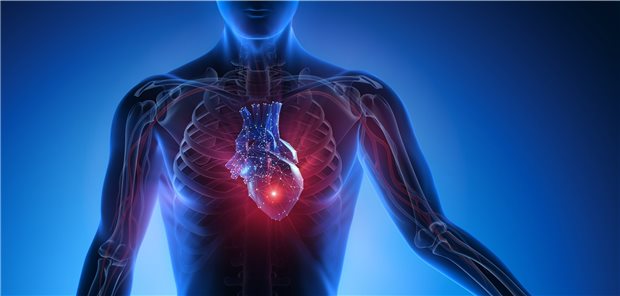 Nach einem Herzinfarkt sind bei RA-Patienten die RA-Krankheitsdauer und die Nutzung von Kortikosteroiden vor dem Infarkt relevant für die Prognose.