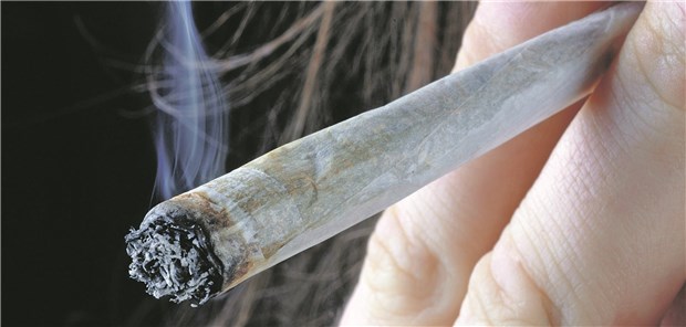 Cannabis ist Droge Nummer 1 Nach wie vor wird viel in Deutschland gekifft.