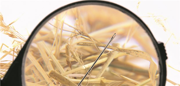 Auf seltene Krankheiten ist die Versorgung nicht eingestellt Nadel im Heuhaufen: Diagnosefindung bei Orphan Disease.