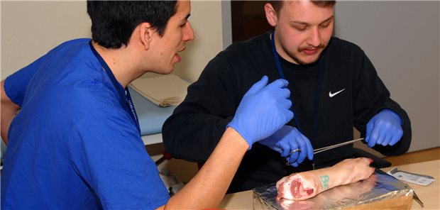 „Aufschneidertag“ soll fürs Fach Chirurgie begeistern „Nähkurs“ an einem Schweinsfuß: Manuel Santander zeigt einem Studierenden, worauf man beim Nähen und Knoten achten muss.