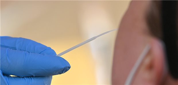 Nasenabstrich: Seit der COVID-19-Pandemie kennen das viele Menschen. Ob Schnelltests auch bei anderen Infektionen zum Einsatz kommen sollten, ist Gegenstand einer Diskussion.