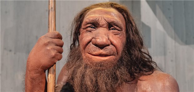 Neandertaler neigten zu Lebzeiten zu einer Fettleber. Bestimmte Genvarianten sind hieran beteiligt.