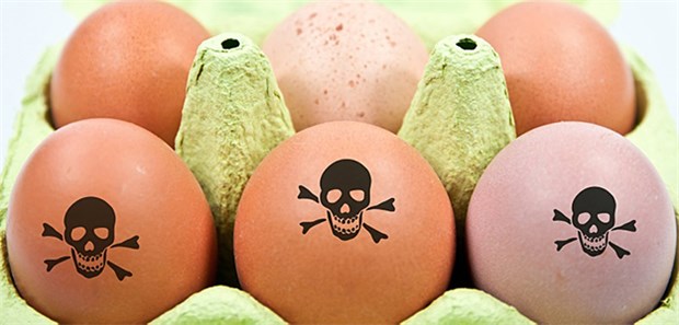 Weiterer Giftstoff in Desinfektionslösung entdeckt Neben Fipronil wurden nun auch Spuren des Pestizids Amitraz in dem in den Hühnerställen verwendeten Desinfektionsmittel "Dega 16" entdeckt.