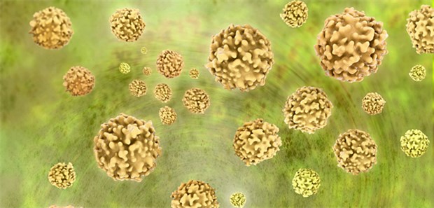 Neisseria gonnorhoeae: Zunehmend wieder ein Problem bei Frauen zwischen15 und 24 Jahren.