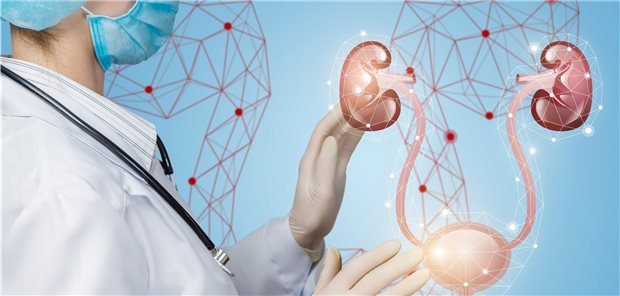 Mit Algorithmen gegen Diabetische Nephropathie Nephropathie wird analysiert: Individuelle Daten sollen eine präzise personalisierte Therapie ermöglichen.