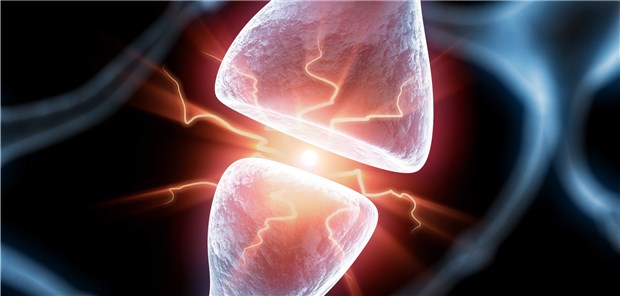Nervenreizleitung: CGRP ist bedeutsam bei der trigeminalen Schmerzübertragung.
