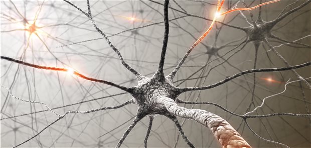 Nervenzellen: Zur Therapie bei Morbus Alzheimer wird der Antikörper Aducanumab zur Zeit in mehreren Studien getestet.