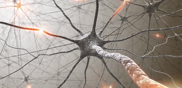 Ein Fach mit unterschätztem Potenzial Netze von Nerven und ihre Krankheiten bestimmen die Arbeit in der Neurologie.