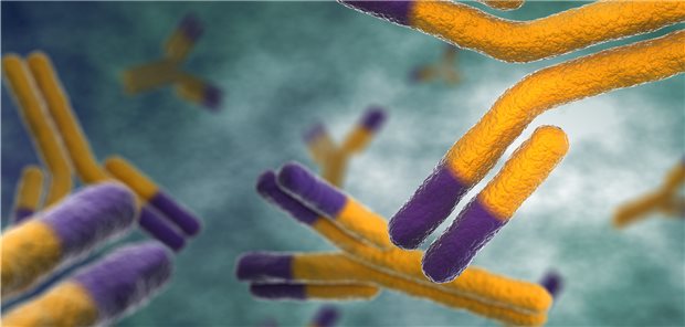 Neue Antikörper bieten mehr Therapiechancen bei systemischem Lupus erythematodes, auch bei der Lupusnephritis.