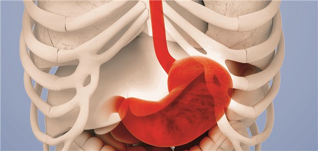 Was ist neu und was obsolet in der Gastroenterologie? Neue Empfehlungen gibt es bei Refluxkrankheit, HP-Infektion und eosinophiler Ösophagitis.