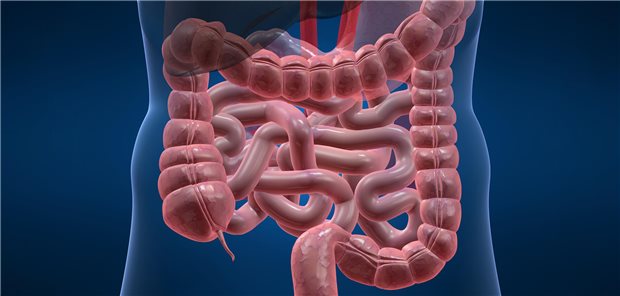 Neue Erkenntnisse zur Darm-Hirn-Achse haben dazu geführt, dass der Begriff „funktionelle Verdauungsstörungen“ ersetzt wurde. Gastroenterologen sprechen jetzt von  DGBI – „disorder of gut brain interaction“.