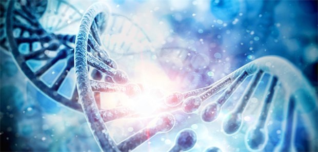 Können Ärzte Leukämie stoppen? Neue Strategie: Können Ärzte Leukämie bekämpfen, indem sie medikamentös Gene inaktivieren?