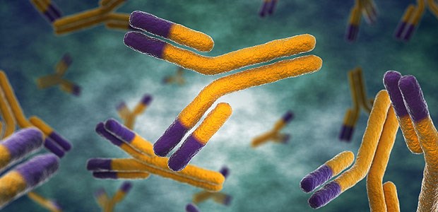 MS-Therapie im Umbruch Neue monoklonale Antikörper führen bei MS zu Schubreduktionen um 80 bis 90 Prozent.